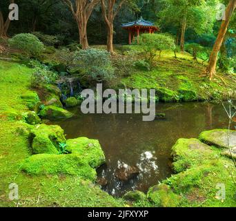 Mossy garden with a pond and japanese shrine. Landscape of outdoor meditation area in a calm forest. Buddhist prayer temple in a wellness center or Stock Photo