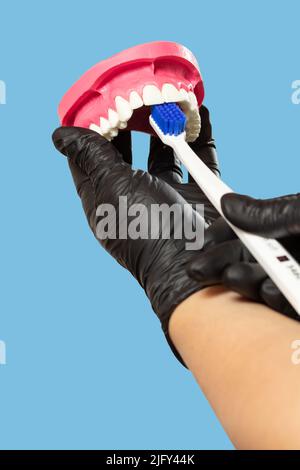 Close-up view of a human jaw layout and a floss toothpick on the black ...