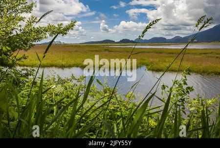 Beautiful scenic landscape view of a lake and mountains in the sunny summer day. The Lake And Mountain Lanscape in summer. travel photo, nobody, selec Stock Photo