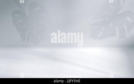 Concrete wall with abstract floral shadows by sunlight as texture, background Stock Photo