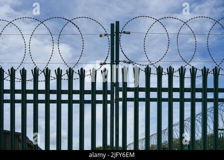 Metal security gates topped with razor wire. Stock Photo