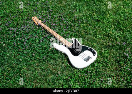 Electric Bass in The Grass Stock Photo