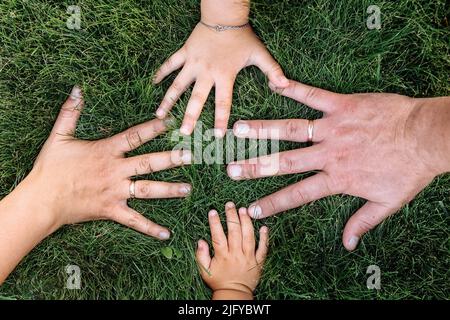 mothers, fathers and childs hands on green grass. happy family, childhood concept. Day of mother, father, child. Family spending time together in natu Stock Photo