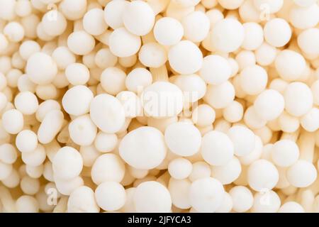 Macro white fresh golden needle mushroom or enoki mushroom Stock Photo