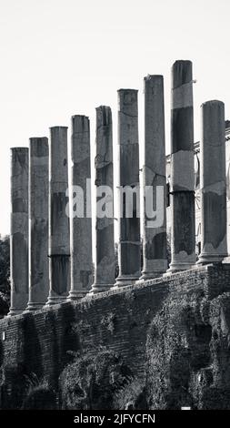 The beautiful old stone columns remained in good condition among the ruins of the temple of Venus and Rome. Stock Photo