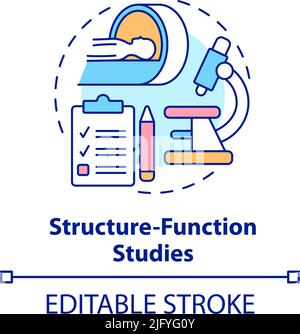 Structure function studies concept icon Stock Vector