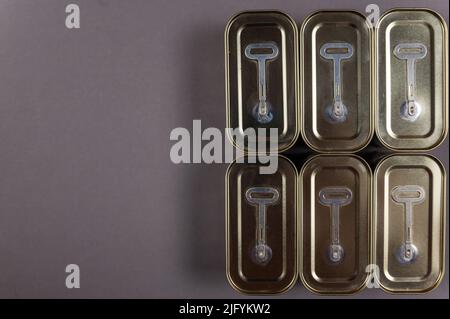 Metal canning tins against a gray background. Rectangular containers of canned food. Top view. Copy space for text and design elements Stock Photo