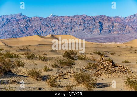 Mesquite Flat Sand Dunes, Death Valley, California, United States of America, North America Stock Photo