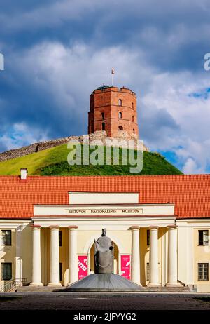Monument to King Mindaugas in front of The New Arsenal and National Museum of Lithuania and Gediminas Tower, Vilnius, Lithuania, Europe Stock Photo