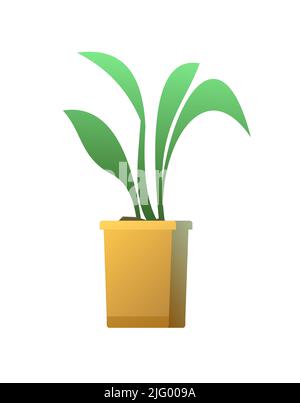 Root in box. Seedling garden plants. Sowing agricultural material. Isolated on white background. Single object icon. Vector Stock Vector