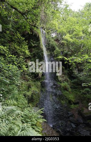 Mallyan Spout waterfall, Goathland, North York Moors, England, UK Stock Photo