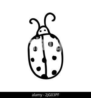 Beetle, insect, ladybug flat line art illustration in doodle style. Cute ladybug. Insect icon Stock Vector
