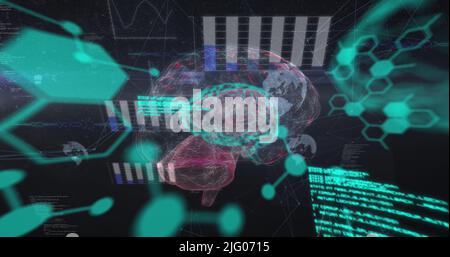 Image of chemical formulas and data processing over rotating brain Stock Photo