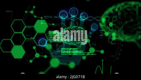 Image of chemical formulas and data processing over brains on black background Stock Photo