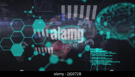 Image of chemical formulas and data processing over fingerprints and brain Stock Photo