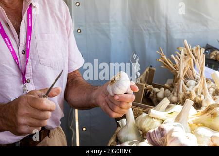 Garlic from the Garlic Farm on the isle of white at Hampton Court Palace Flower Festival Stock Photo