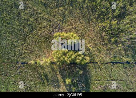 An aerial top view of a lone green tree with its shadow on a cultivated ...