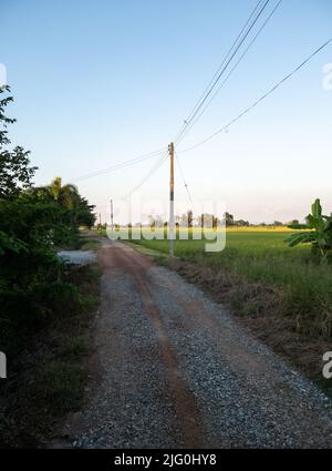 The small dirt road along the paddy field near the countryside village, with the electric pole along the way to the farmer's house, front view for the Stock Photo