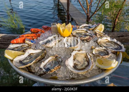 Oyster platter with seafood at the beach pavilion Le St Pierre Tarbouriech