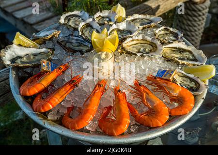 Oyster platter with seafood at the beach pavilion Le St Pierre Tarbouriech