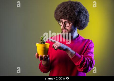 Portrait of hipster man with Afro hairstyle touching cactus with finger, looking at flower with amazed expression, wearing red sweatshirt. Indoor studio shot isolated on colorful neon light background Stock Photo