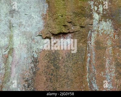 Close up of weathered sandstone rock with mosses, lichens and cracks in rock Stock Photo