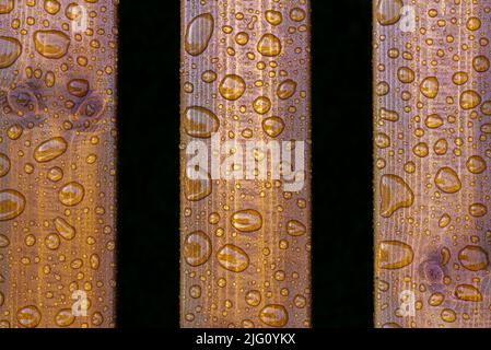 horizontal background of lacquered burnt wood texture with shiny water drops from the rain, wet wooden planks Stock Photo