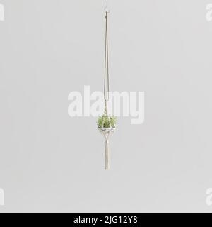 3d illustration of hanging plant in potted on white background Stock Photo