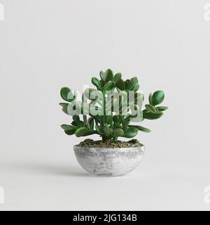 3d illustration of houseplant in potted isolated on white background Stock Photo