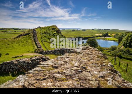 West along Hadrian’s Wall from Milecastle 42 as it disappears into Cawfields Quarry in the background, Northumberland, England Stock Photo