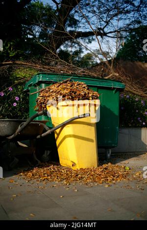 Dumpster filled with waste leaves Stock Photo