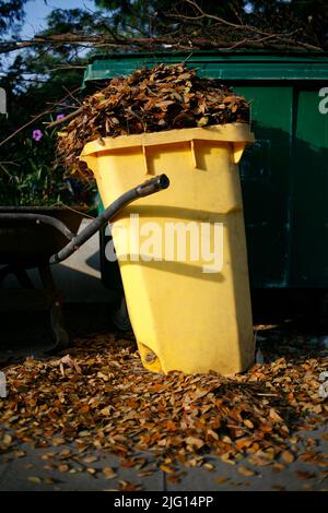 Dumpster full of dry leaves stands on the pavement in a park Stock Photo