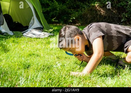 latin kid checking with magnifying glass on a camping trip. with tent and map on the background. nature exploring concept Stock Photo