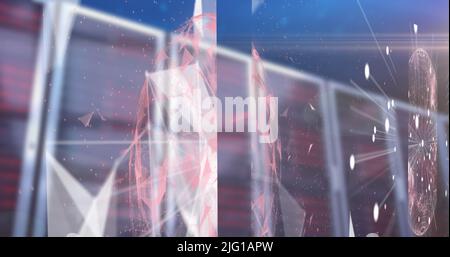 Plexus network against multiple servers Stock Photo