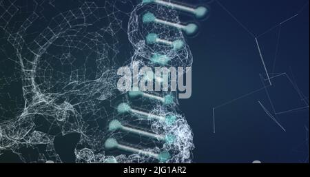 DNA structure spinning against blue background Stock Photo