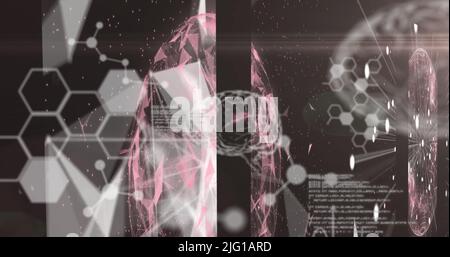 Chemical structures and 3D brain model against data processing Stock Photo