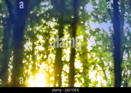 Mysterious fairy fall blurred bokeh forest. Dark scary motion bokeh autumn forest background. Stock Photo