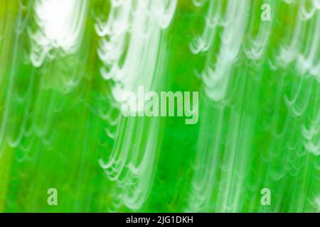 Abstract green circular bokeh background with copy space. Abstract green bokeh background. Stock Photo