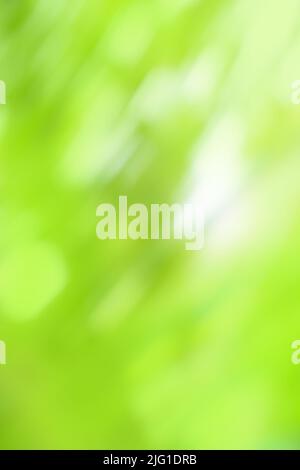 Chlorine greenery  blurred background. Pistachio color blur bokeh. Stock Photo