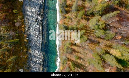 Top down view of a turquoise river in the wild area. Action. Bird eye view of an autumn national park with trees and a flowing river Stock Photo