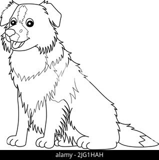 Border Collie Dog Isolated Coloring Page for Kids Stock Vector