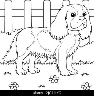 Cavalier King Charles Spaniel Dog Coloring  Stock Vector