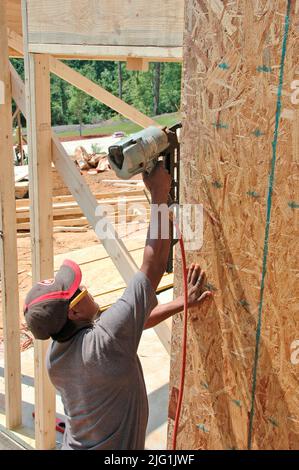 Latin work crew building wooden stick built house home cutting measure nailing on hot day Stock Photo