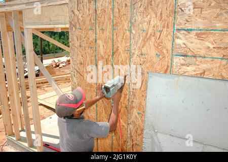 Latin work crew building wooden stick built house home cutting measure nailing on hot day Stock Photo