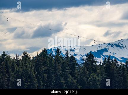 Multiple passengers in harnesses and seats on zip line from mountain top to Icy Strait Point in Alaska Stock Photo