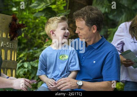 CONNOR CORUM, GREG KINNEAR, HEAVEN IS FOR REAL, 2014 Stock Photo