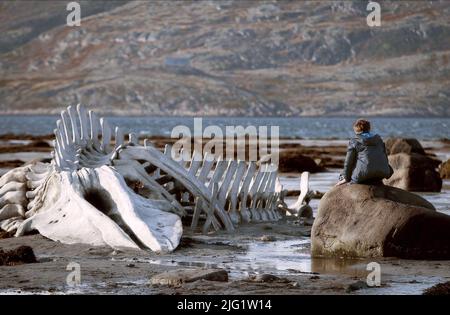 leviathan whale skeleton