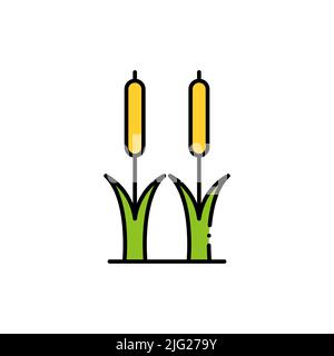 Reeds plant filled color icon. linear style sign for mobile concept and web design. Cattail simple filled color vector icon. Symbol, logo illustration Stock Vector