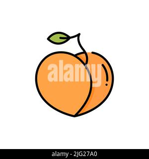 Peach icon vector, filled flat sign, solid colorful pictogram isolated on white, logo illustration Stock Vector