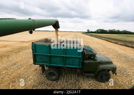 A combine unloads barley grain into a truck in a field in Odesa region the South of Ukraine. As Russian invasion in Ukraine continues, more than 20 million tones of Ukrainian grain were blocked at the Ukrainian ports, a significant part of which was intended for the UN World Food Programme, reportedly by local media. Stock Photo